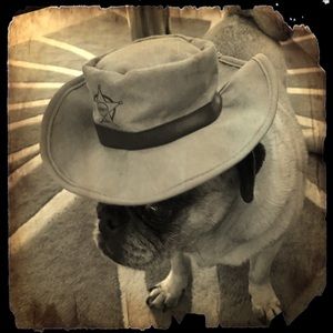 Meet your Posher, Kelly